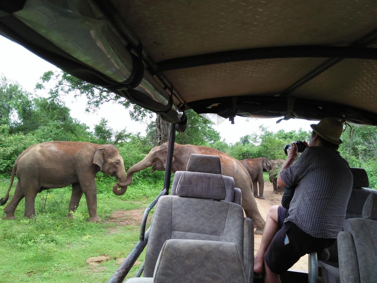 Brookline Safari Resort Udawalawe Buitenkant foto