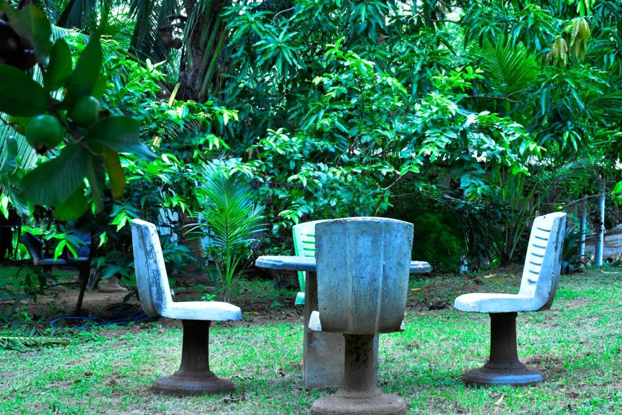 Brookline Safari Resort Udawalawe Buitenkant foto
