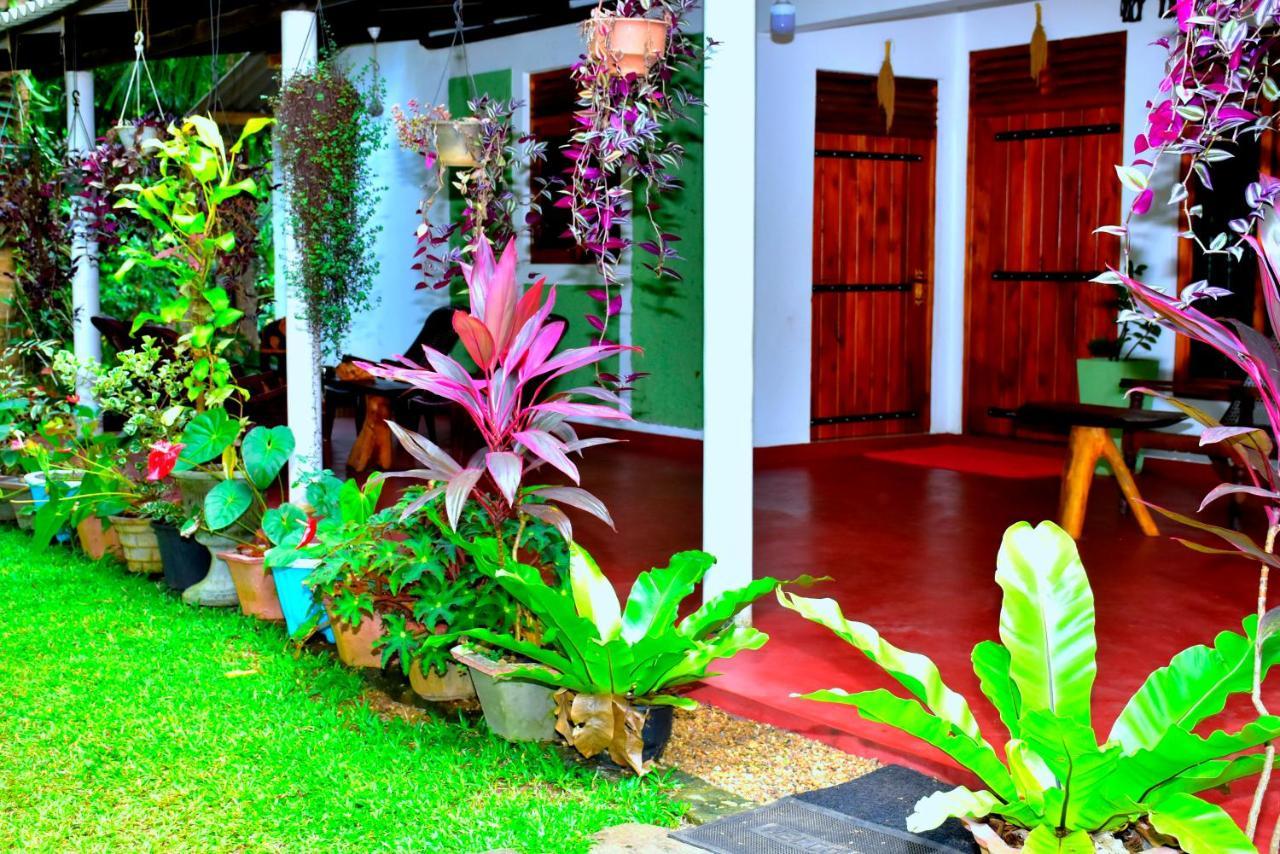 Brookline Safari Resort Udawalawe Buitenkant foto