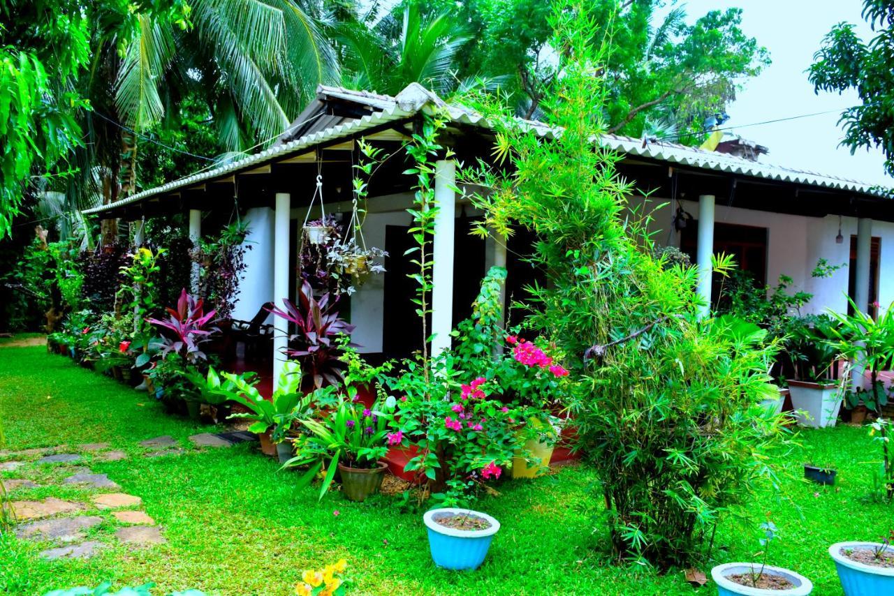 Brookline Safari Resort Udawalawe Buitenkant foto